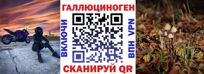 Купить закладки  Цоци-Юрт  Псилоцибиновые грибы Psilocybe 
