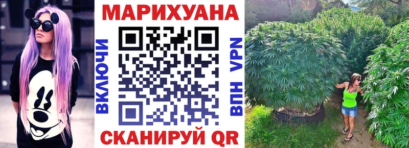Купить  Цоци-Юрт  Конопля ГИДРОПОН 